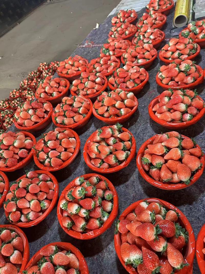 邳州港上草莓大量上市中，有需要的可以合作一手货源