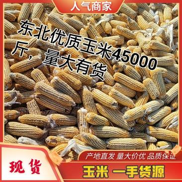 东北优质玉米籽粒饱满产地直发品质保证量大优惠