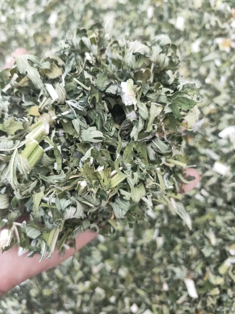 益母草，产地直发，量大从优，诚信经营，保质保量，欢迎来电咨询