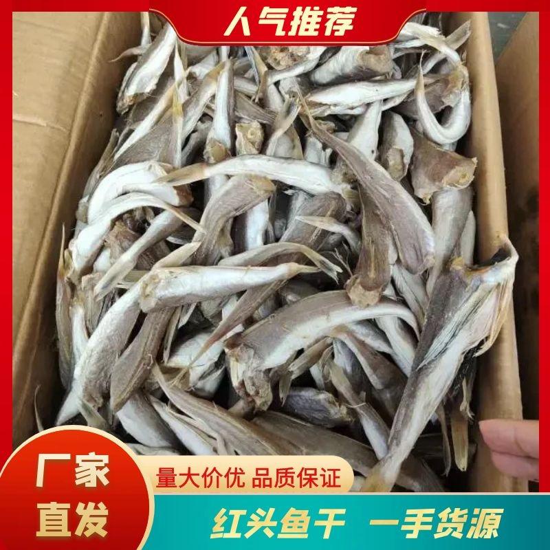 [荐]红头鱼干七成干沾化海产鱼干咸鱼欢迎来电