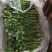 河北唐山铁杆青香菜质量保证欢迎采购，合作共赢诚信为本