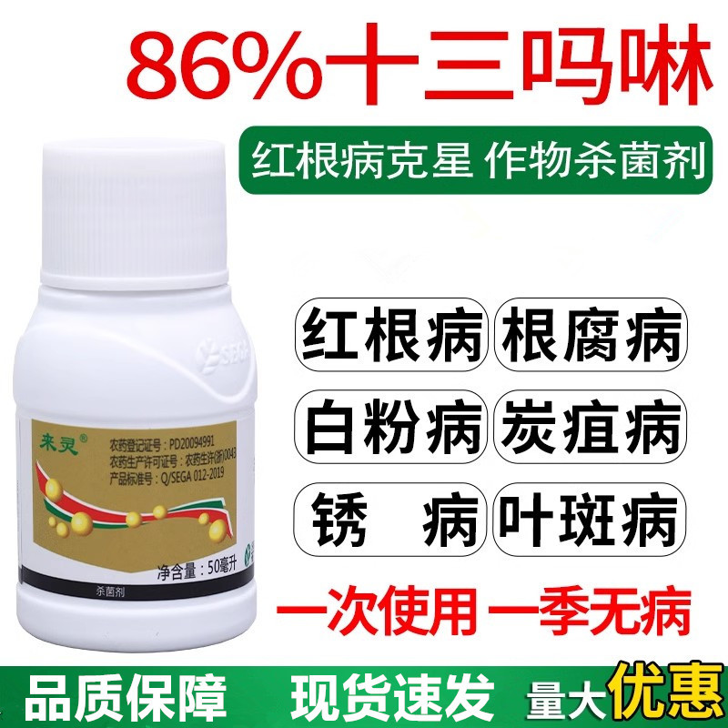86%十三吗啉草莓白粉病橡胶红根病炭疽病杀菌剂