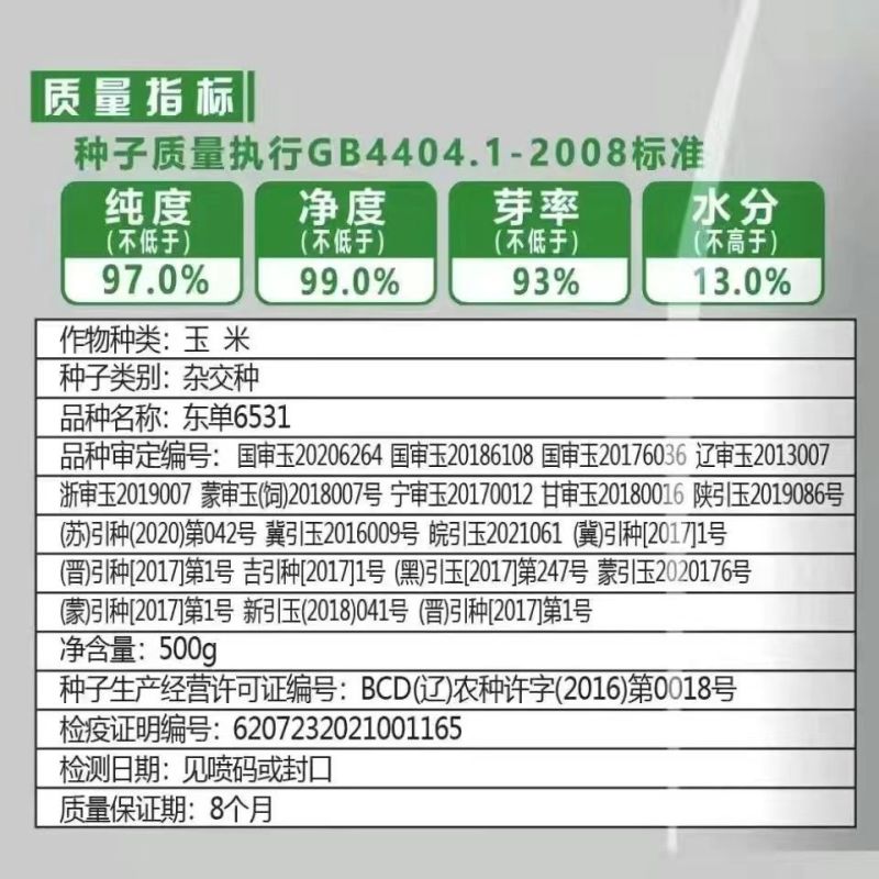 国审东单6531原装高产玉米种子正品双胞胎矮杆抗倒苞米种