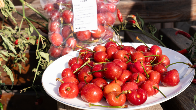 【源头产地】冷冻烟台车厘子/大樱桃🍒极速锁鲜果茶原料
