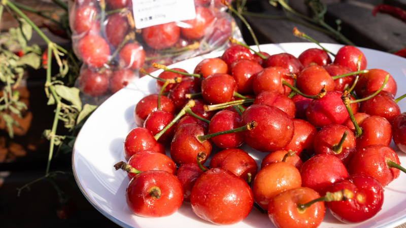 【源头产地】冷冻烟台车厘子/大樱桃🍒极速锁鲜果茶原料