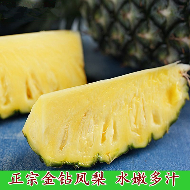 云南西双版纳金钻凤梨菠萝社区团购电商一件代发整车配货