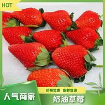 四川奶油黔莓冬草莓一件商超供应社团渠道供应