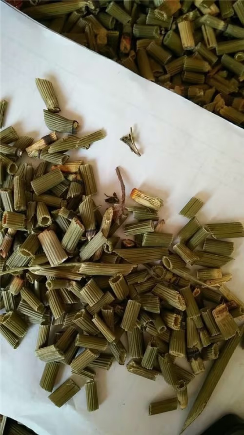 【精品】河北木贼新货上市无硫品质保证量大优惠欢迎咨询