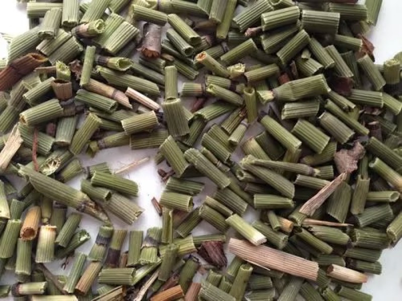 【精品】河北木贼新货上市无硫品质保证量大优惠欢迎咨询