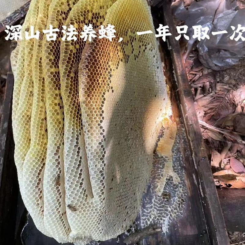 【正宗】江西深山百花蜂蜜自产自销天然无添加欢迎采购