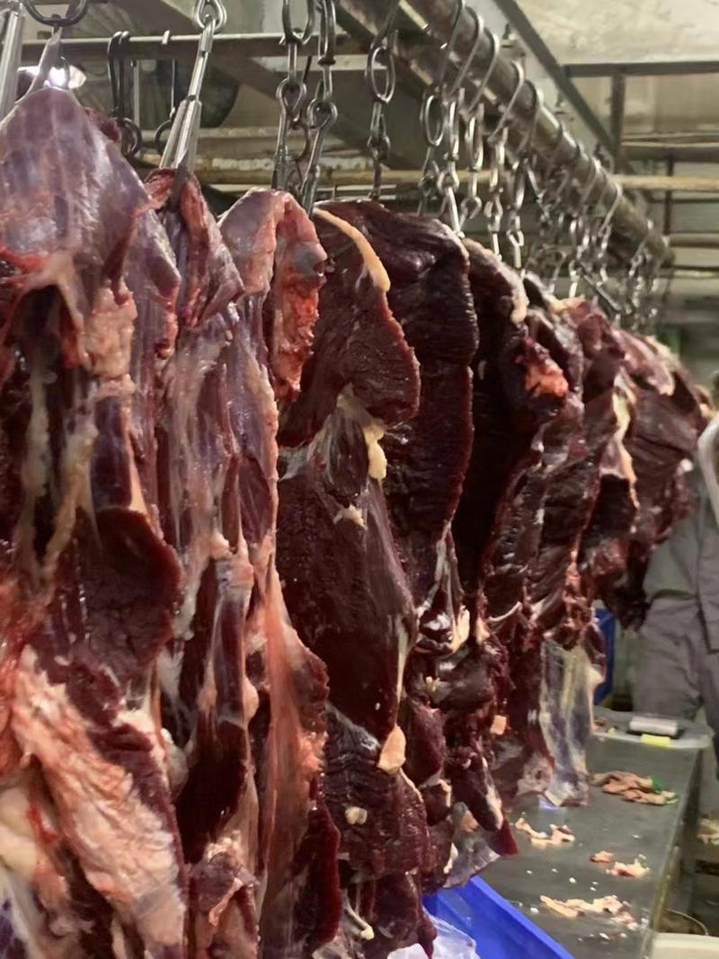 牛肉前腿肉后腿肉新鲜牛肉大量有货欢迎老板电话联系