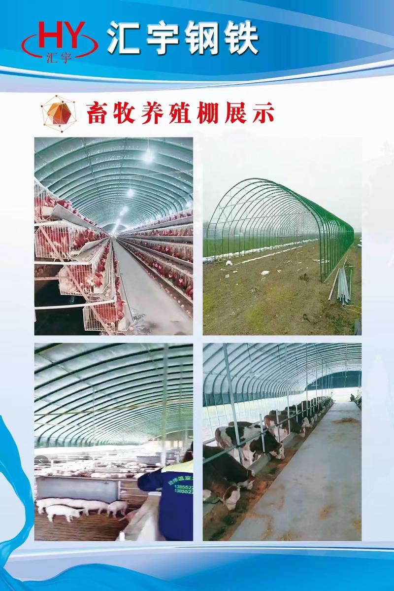 天津蔬菜大棚暖棚农用大棚一手货源生产厂家直发欢迎电联