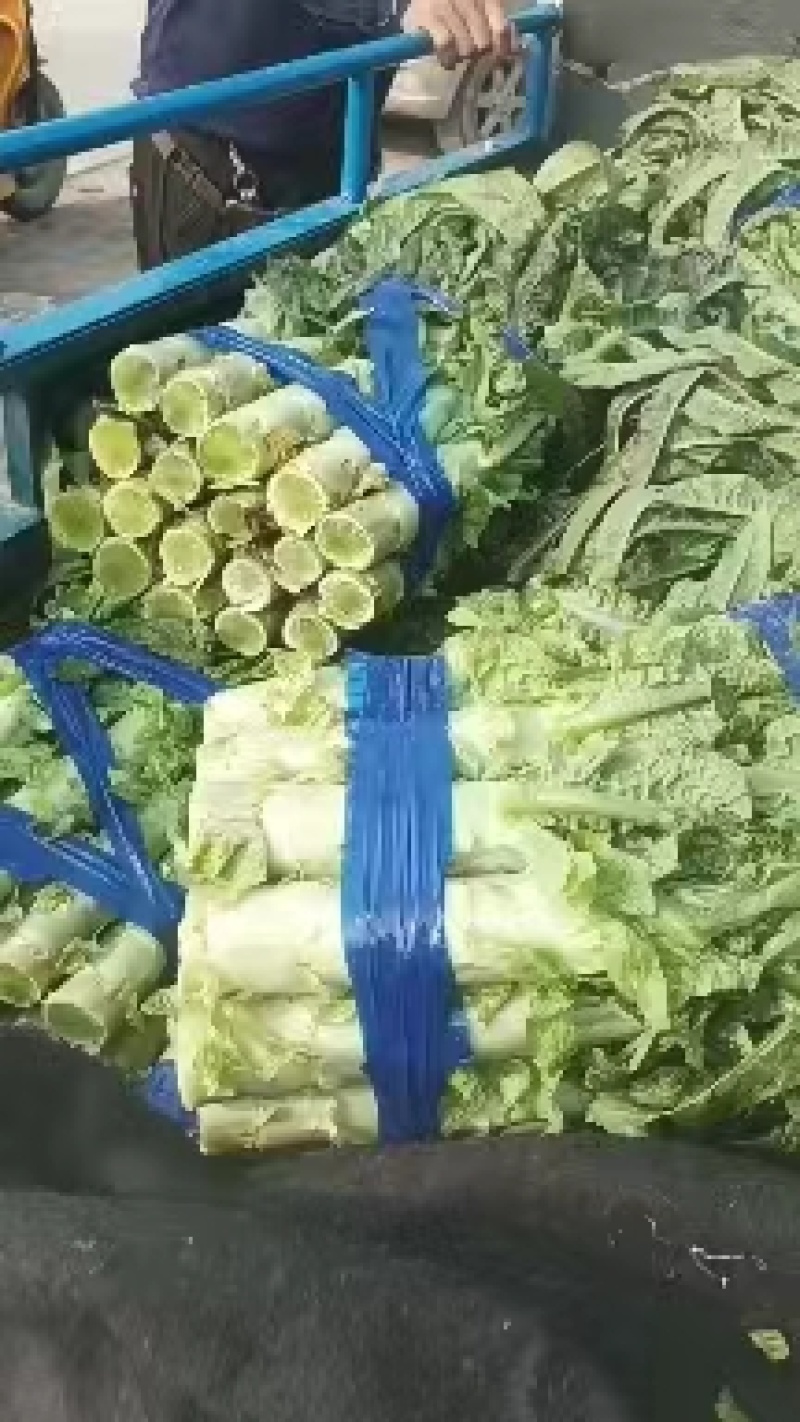 精品红叶莴苣，产地直发，大量上市，货源充足，欢迎致电合作