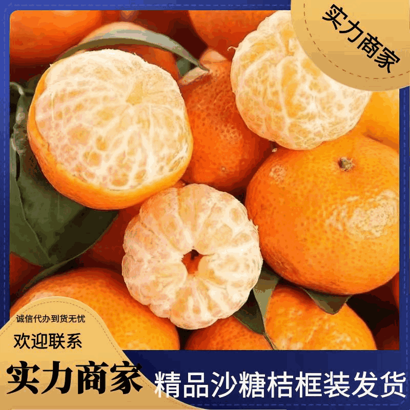 广西砂糖橘，沙糖桔汁多皮薄，无渣，质量保证，代发全国