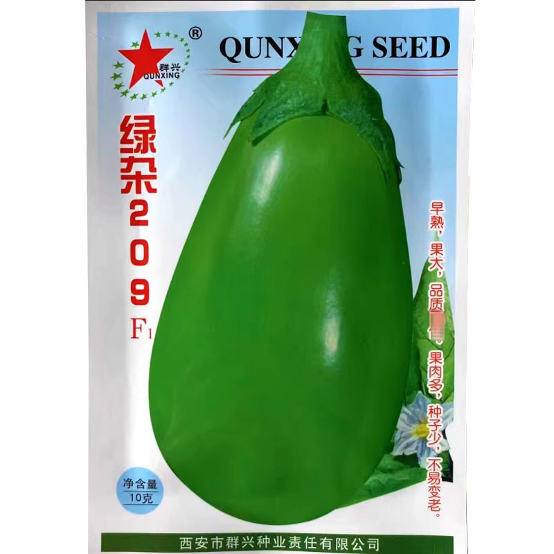 绿杂209茄子绿茄子早熟膨大快果大皮色油绿产量高
