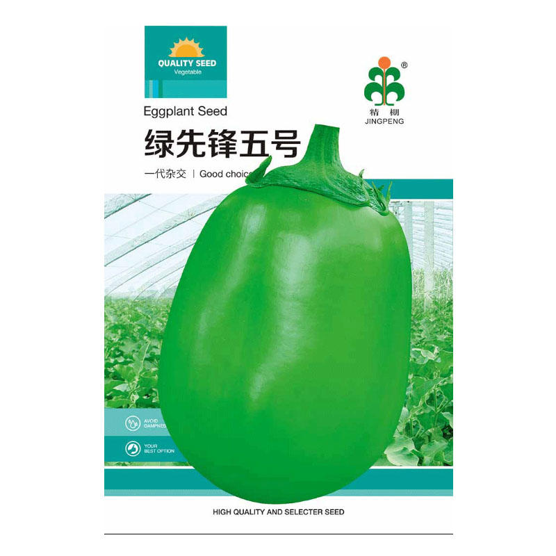 绿杂209茄子绿茄子早熟膨大快果大皮色油绿产量高
