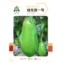 绿先锋一号茄子种子果型大杂交青绿皮早熟基地选