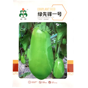 绿先锋一号茄子种子果型大杂交青绿皮早熟基地选