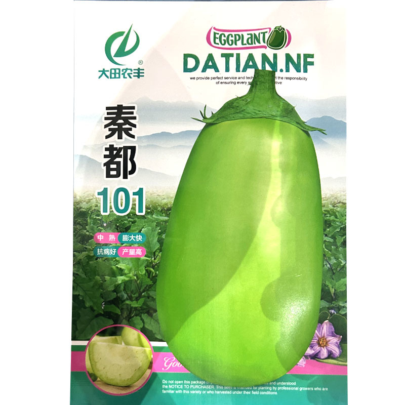 秦都101早熟膨胀快抗病好青皮茄子白肉基地
