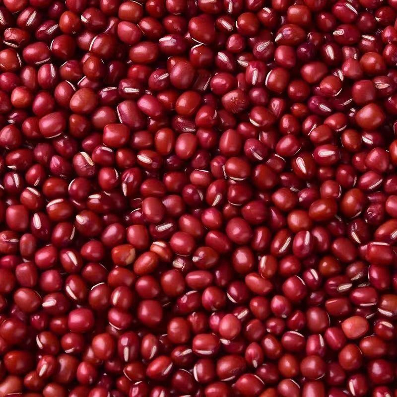 东北红小豆颗粒饱满沙糯产地直发品质保证多规格欢迎咨询