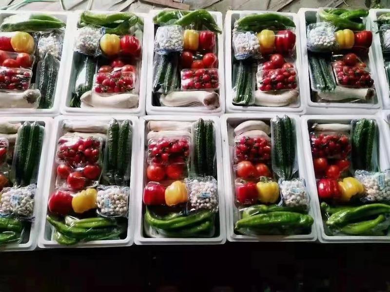 【热卖中】寿光蔬菜包套菜多品种规格齐全春节公司精品福利礼盒