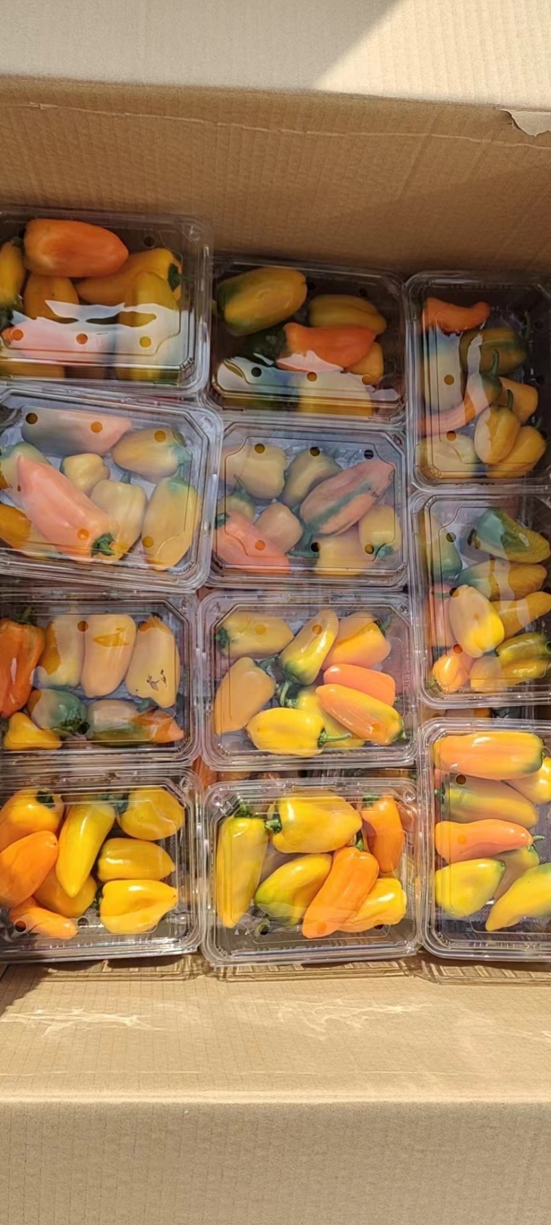 【热卖中】寿光蔬菜包套菜多品种规格齐全春节公司精品福利礼盒