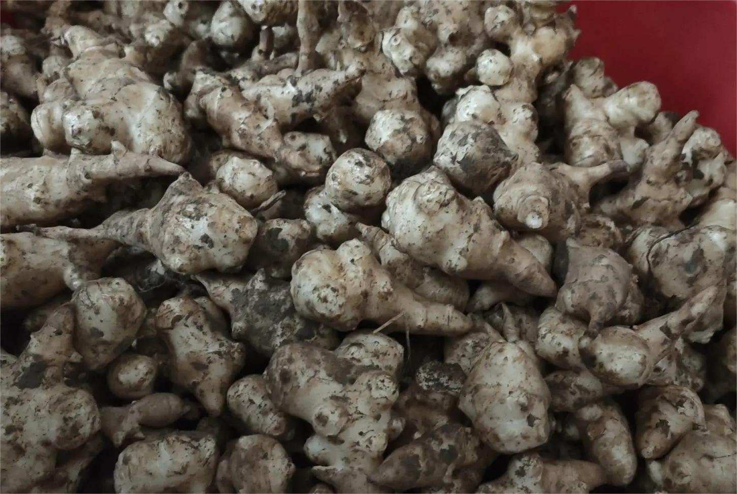 厨房中的养生场景