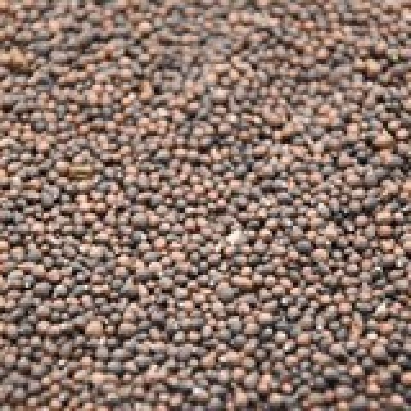黄荆子1000克【华美中药】中药材现货批发供应【黄荆子】