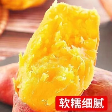 河北雄县龙薯软糯规格齐全产地直供一手货源品质保证电联