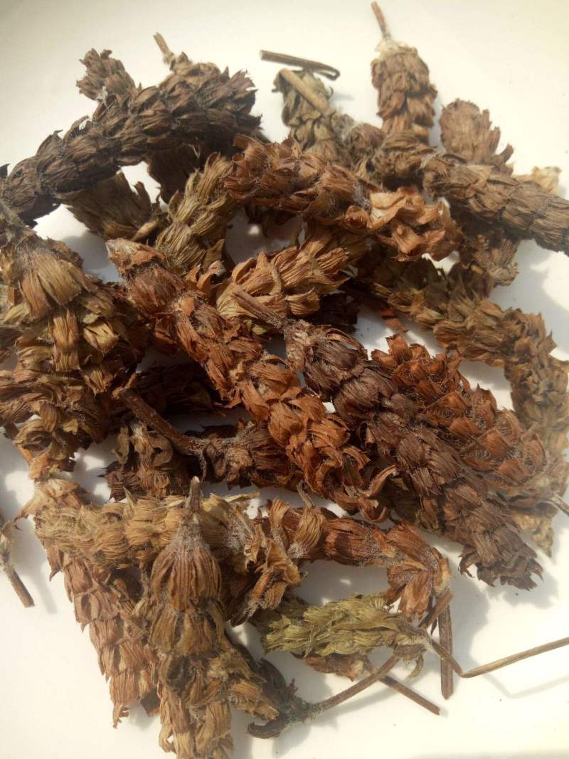 夏枯球，产地直发，量大从优，诚信经营，保质保量，欢迎来电咨询