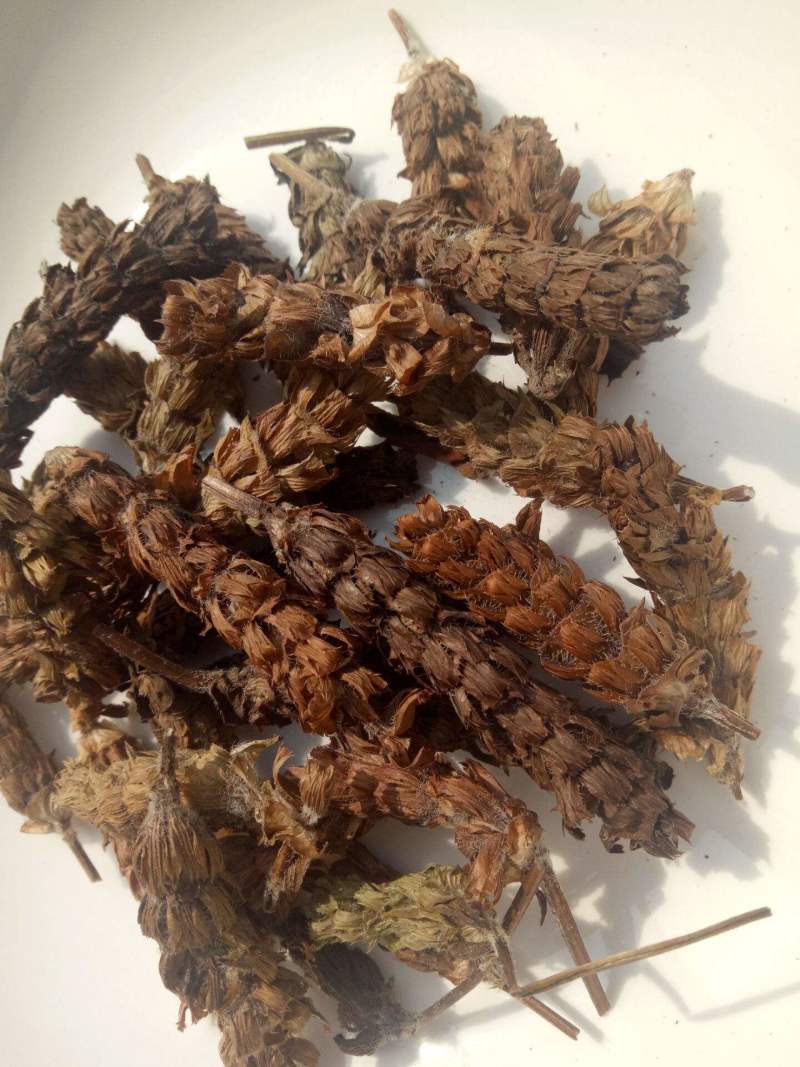 夏枯球，产地直发，量大从优，诚信经营，保质保量，欢迎来电咨询
