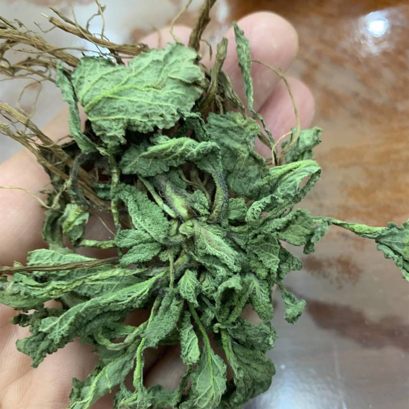 荔枝草，产地直发，量大从优，诚信经营，保质保量，欢迎来电咨询