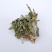 荔枝草，产地直发，量大从优，诚信经营，保质保量，欢迎来电咨询