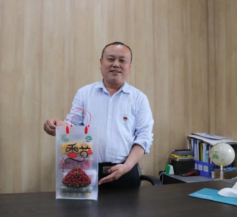 山东西红柿种苗产地直发价格优惠保质保量欢迎采购