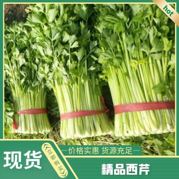 精选芹菜大量上市产地直发保质保量对接各大电商批发商