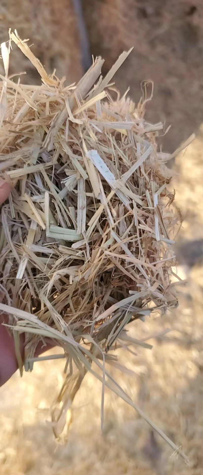 大白包克拉斯铡段稻草大量有货品质保证欢迎老板电话联系
