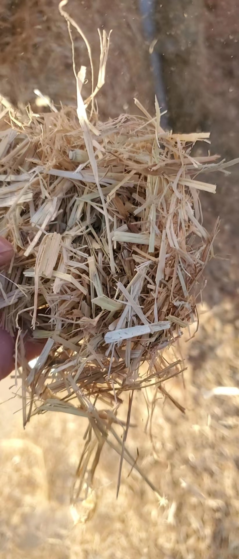 大白包克拉斯铡段稻草大量有货品质保证欢迎老板电话联系