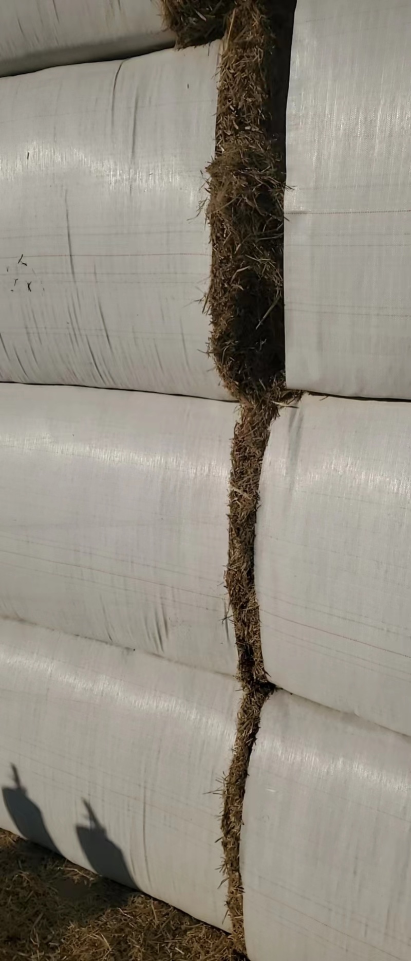 大白包克拉斯铡段稻草大量有货品质保证欢迎老板电话联系