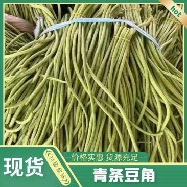 【青条豆角】广东徐闻豆角条形直质量保证价格实惠产地看货电联