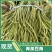 【青条豆角】广东徐闻豆角条形直质量保证价格实惠产地看货电联