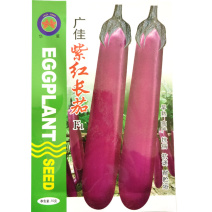{精选}大红长茄种子杂交早熟整齐度高果形好基地品种