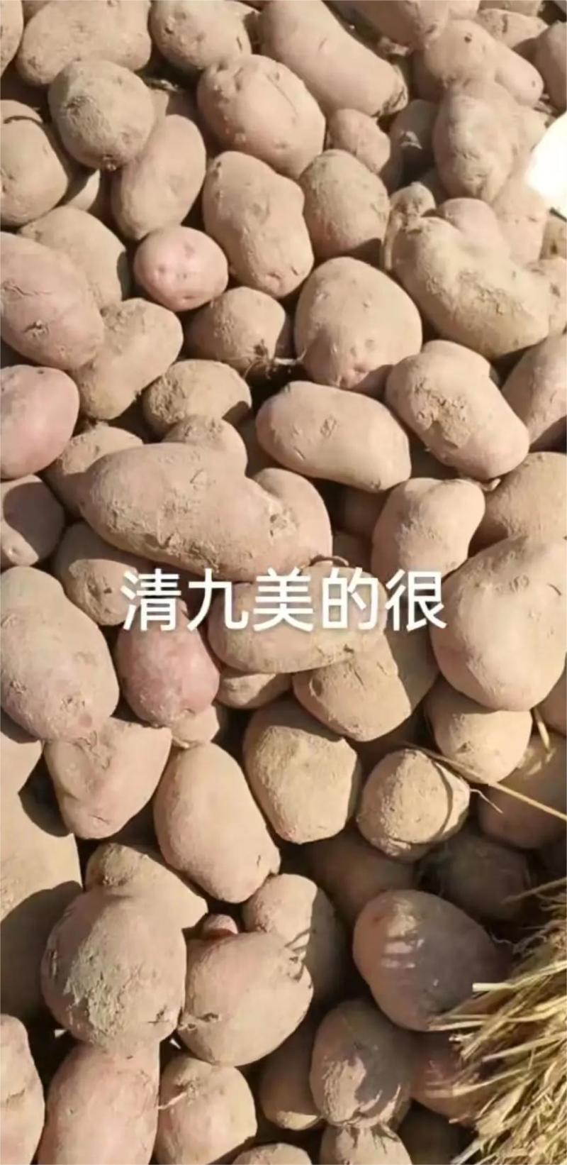 沃土5号，代收各种规格，以质论价，诚信经营，欢迎采购