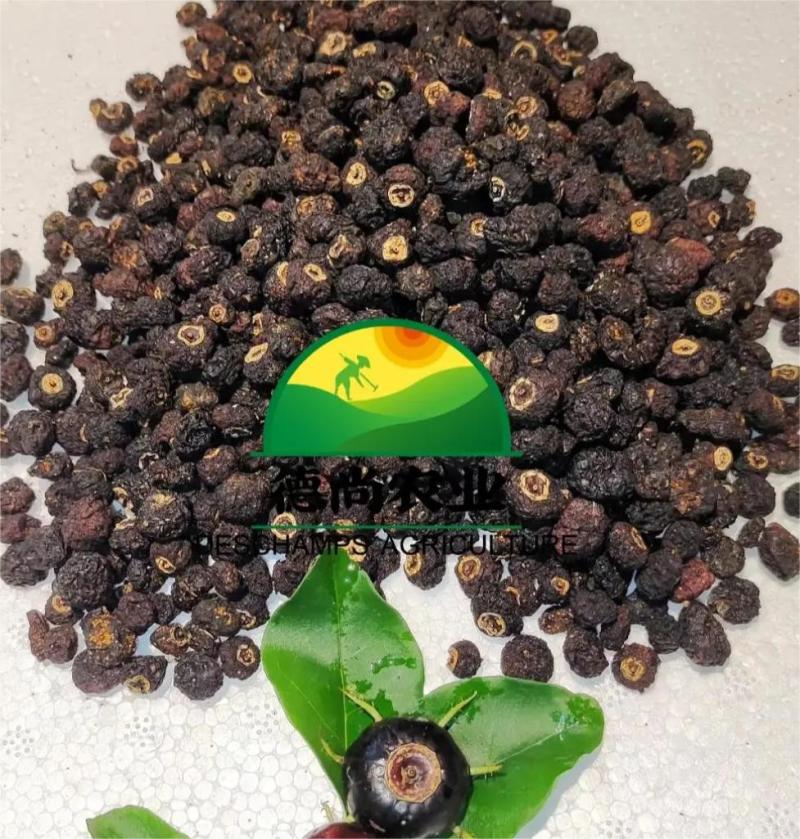 红果参干果，可泡茶水可泡酒喝，中药材半成品批发量大
