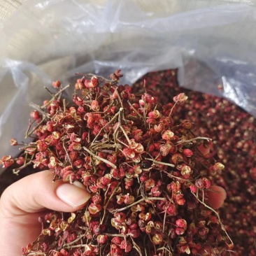 【热卖】山东大红袍花椒保质保量,优质花椒精品代发全国