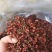 【热卖】山东大红袍花椒保质保量,优质花椒精品代发全国