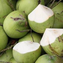 一级椰子清甜，产地货源，量大从优，欢迎咨询