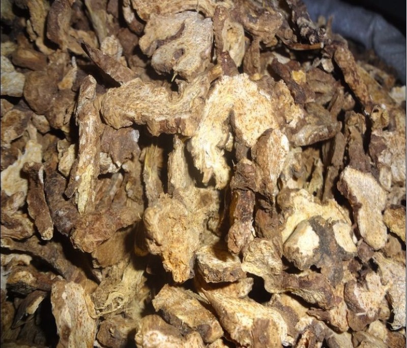 精品朱砂点苍术纯山货产地直销量大从优诚信保质