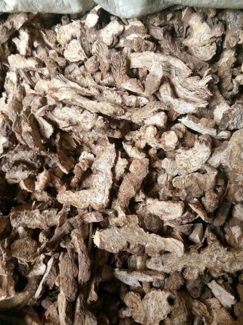 精品朱砂点苍术纯山货产地直销量大从优诚信保质
