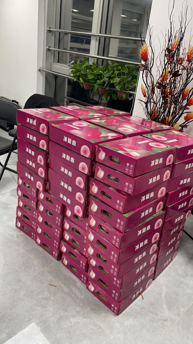 河北冰糖心萝卜大量上市口感脆甜保质保量诚信经营