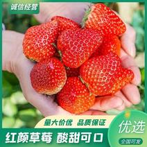 红颜草莓，一手货源，现摘现发质量保证以质论价